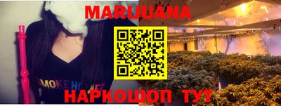 мет Дубна