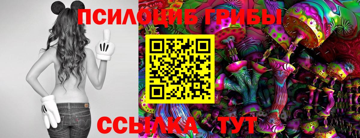 Междуреченск  Галлюциногенные грибы Psilocybine cubensis  Псилоцибиновые грибы Magic Shrooms  Вход с VPN 