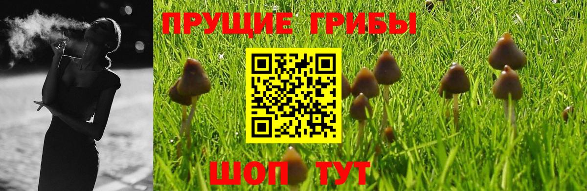 Псилоцибиновые грибы MAGIC MUSHROOMS Междуреченск